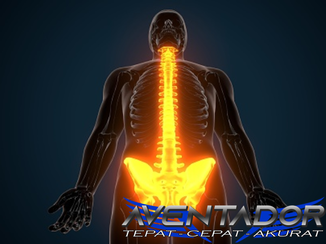 Prediksi Togel SGP 15 Desember 2025