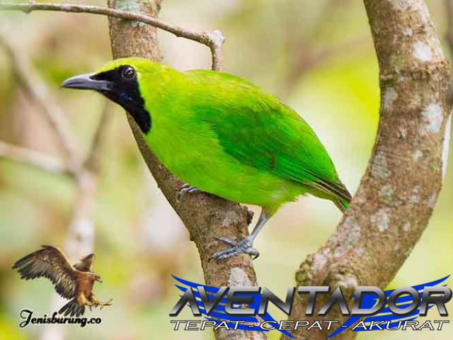 Prediksi Togel SGP 17 Desember 2025