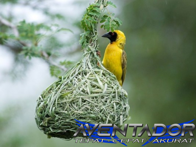 Prediksi Togel HK 12 Januari 2026