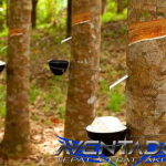 Prediksi Togel HK 14 Januari 2026