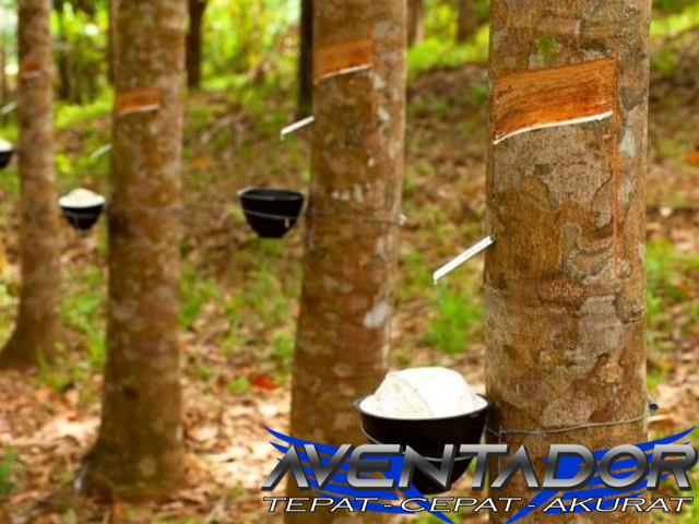 Prediksi Togel HK 14 Januari 2026