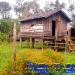 Prediksi Togel HK 21 Januari 2026