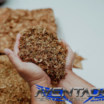 Prediksi Togel HK 7 Januari 2026