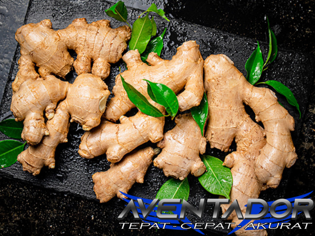 Prediksi Togel HK 9 Januari 2026