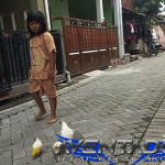 Prediksi Togel SDY 18 Januari 2026