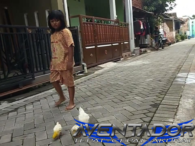 Prediksi Togel SDY 18 Januari 2026