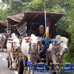 Prediksi Togel SDY 27 Januari 2026