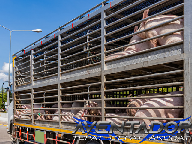 Prediksi Togel SDY 29 Januari 2026