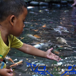 Prediksi Togel SDY 6 Januari 2026