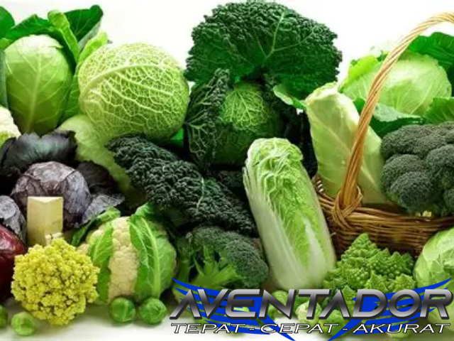 Prediksi Togel SGP 14 Januari 2026