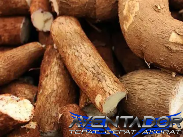 Prediksi Togel SGP 28 Januari 2026