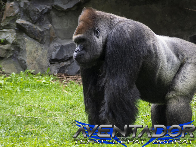 Prediksi Togel SGP 7 Januari 2026