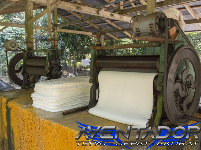 Prediksi Togel SGP 8 Januari 2026