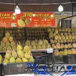 Prediksi Togel HK 24 Februari 2026