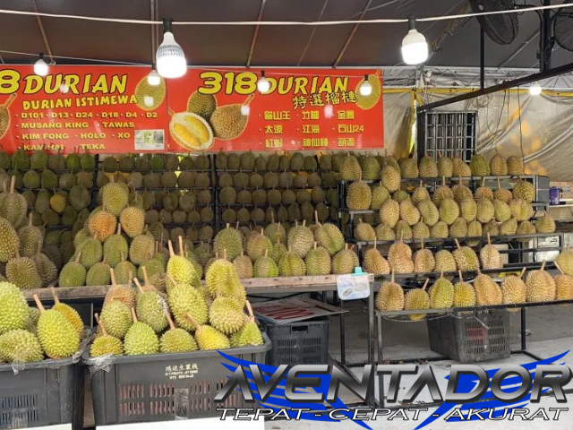 Prediksi Togel HK 24 Februari 2026