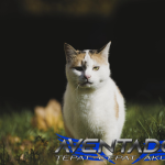 Prediksi Togel HK 28 Februari 2026