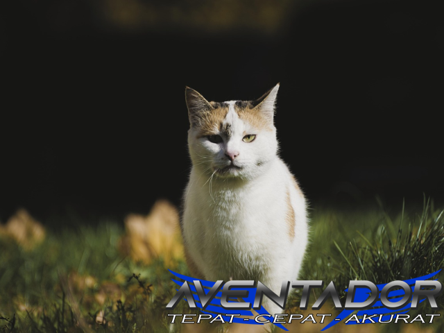 Prediksi Togel HK 28 Februari 2026