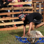 Prediksi Togel SDY 3 Februari 2026