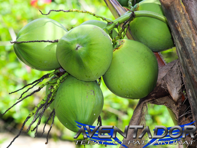 Prediksi Togel SGP 12 Februari 2026