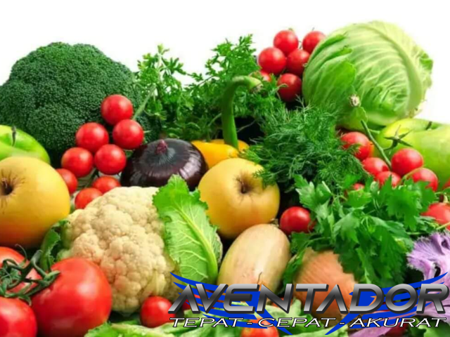 Prediksi Togel SGP 14 Februari 2026