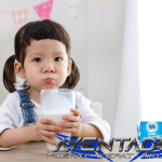 Prediksi Togel SGP 22 Februari 2026