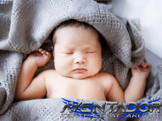 Prediksi Togel SGP 26 Februari 2026