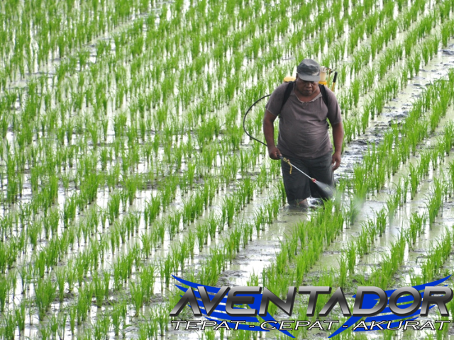 Prediksi Togel SGP 4 Februari 2026