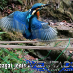 Prediksi Togel HK 12 Maret 2026