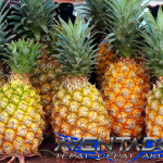 Prediksi Togel SDY 2 Maret 2026