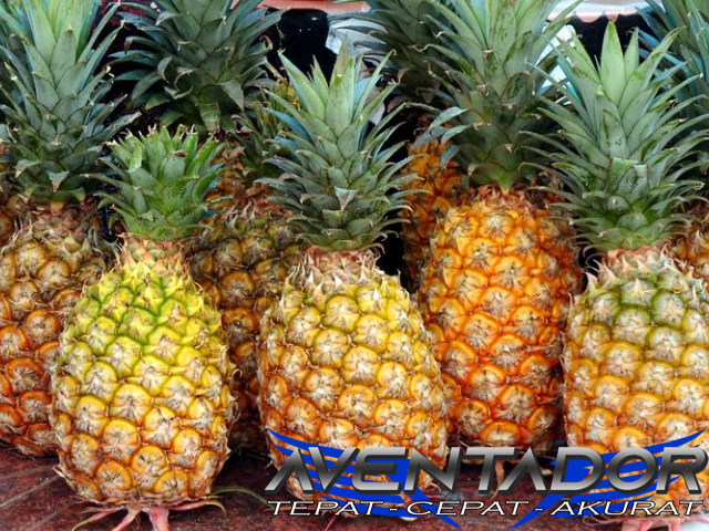 Prediksi Togel SDY 2 Maret 2026