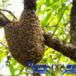 Prediksi Togel SDY 28 Maret 2026