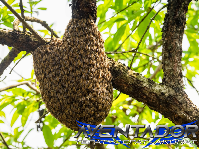 Prediksi Togel SDY 28 Maret 2026