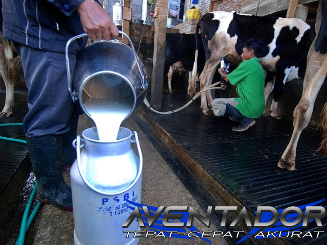 Prediksi Togel SDY 5 Maret 2026