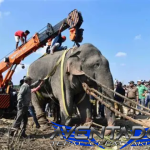 Prediksi Togel SGP 9 Maret 2026