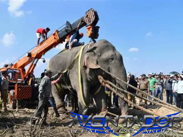 Prediksi Togel SGP 9 Maret 2026