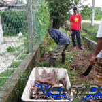 Prediksi Togel HK 23 April 2026