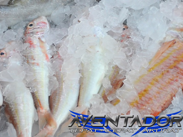 Prediksi Togel HK 3 April 2026