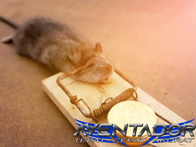 Prediksi Togel HK 6 April 2026