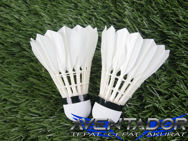 Prediksi Togel SDY 11 April 2026