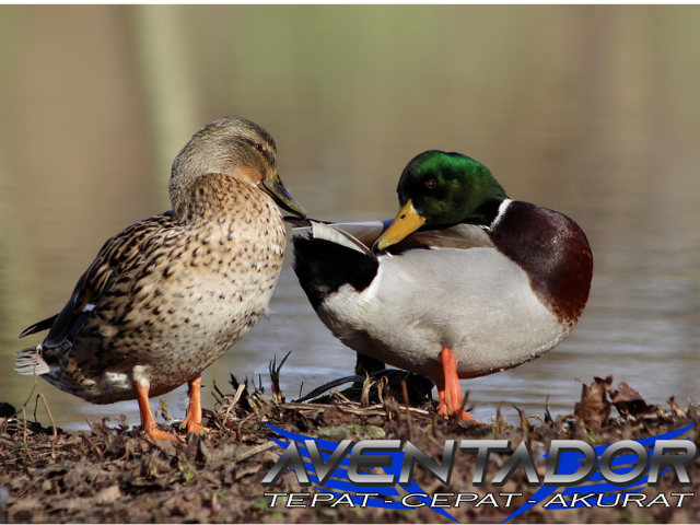 Prediksi Togel SDY 12 April 2026