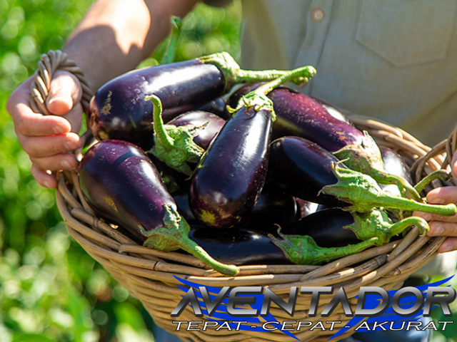 Prediksi Togel SDY 13 April 2026