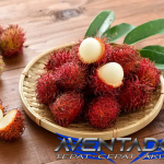 Prediksi Togel SDY 18 April 2026