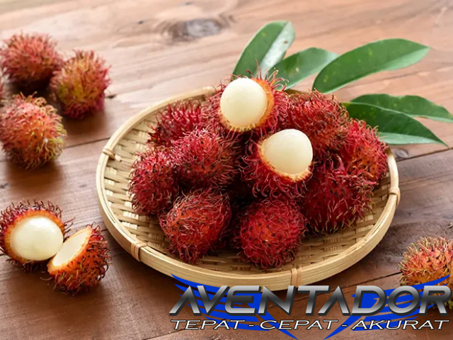 Prediksi Togel SDY 18 April 2026