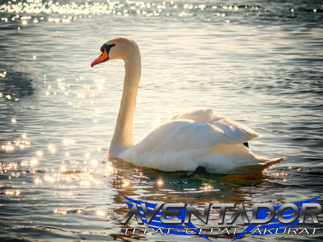 Prediksi Togel SDY 21 April 2026