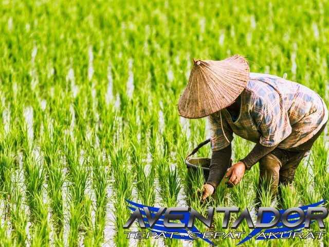 Prediksi Togel SGP 23 April 2026