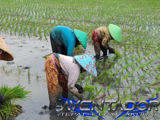 Prediksi Togel SGP 8 April 2026