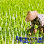 Prediksi Togel HK 12 Juli 2026