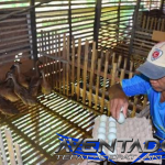 Prediksi Togel SDY 18 Juli 2026