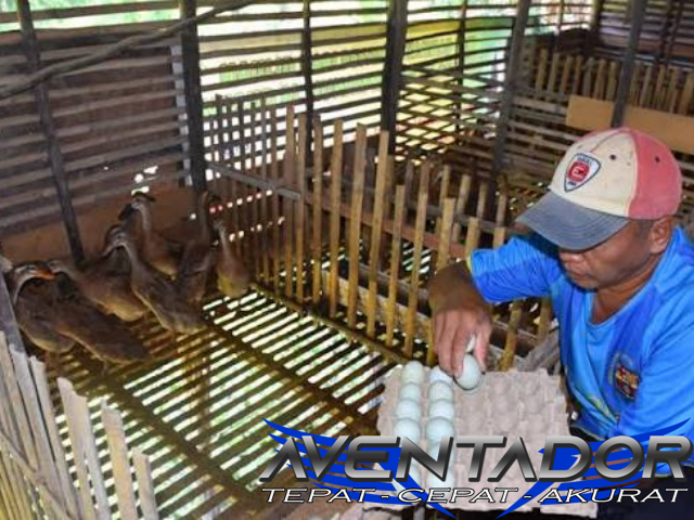 Prediksi Togel SDY 18 Juli 2026