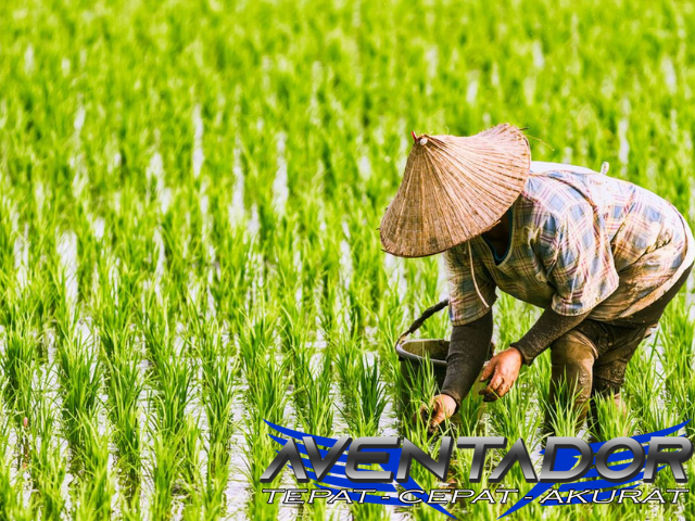 Prediksi Togel SGP 27 Juli 2026